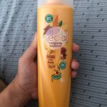 Resenha Seda da Argentina (Sedal) de Gengibre e óleo de rícino