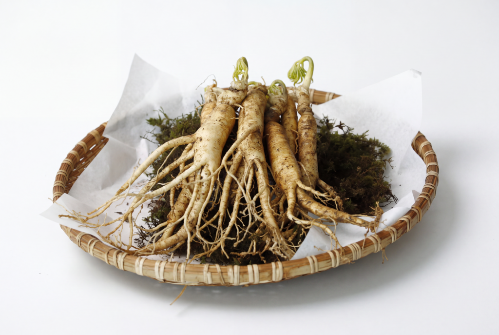 Conheça os benefícios do ginseng para a pele, os riscos, os estudos, a comparação com retinol e como escolher cosméticos.